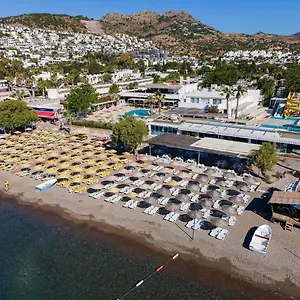 Petunya 4* Ortakentyahşi